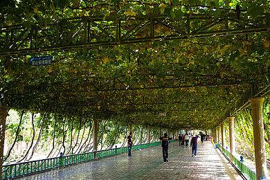 本周FAMI通新作评分 《AI 梦境档案 涅槃肇始》34分